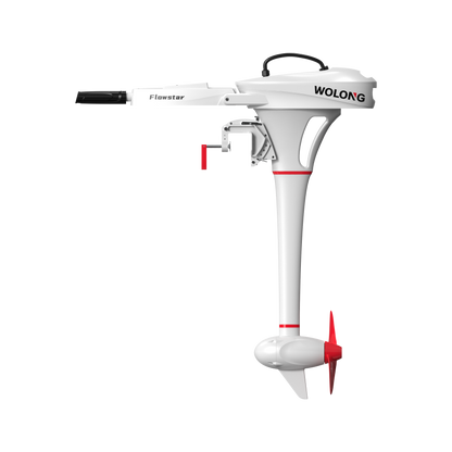 WOLONG -  Flowstar 1.0 kW Elektrikkli Dıştan Takma Motor