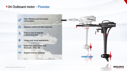 WOLONG -  Flowstar 1.0 kW Elektrikkli Dıştan Takma Motor