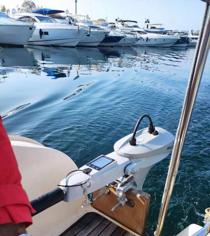 WOLONG -  Flowstar 1.0 kW Elektrikkli Dıştan Takma Motor